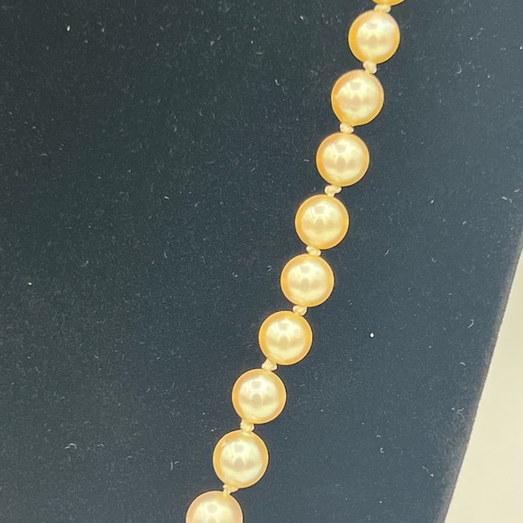 Cultured Pearl Necklace with Gold Clasp - Picture 8 of 11